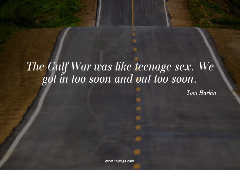The Gulf War was like teenage sex. We got in too soon a