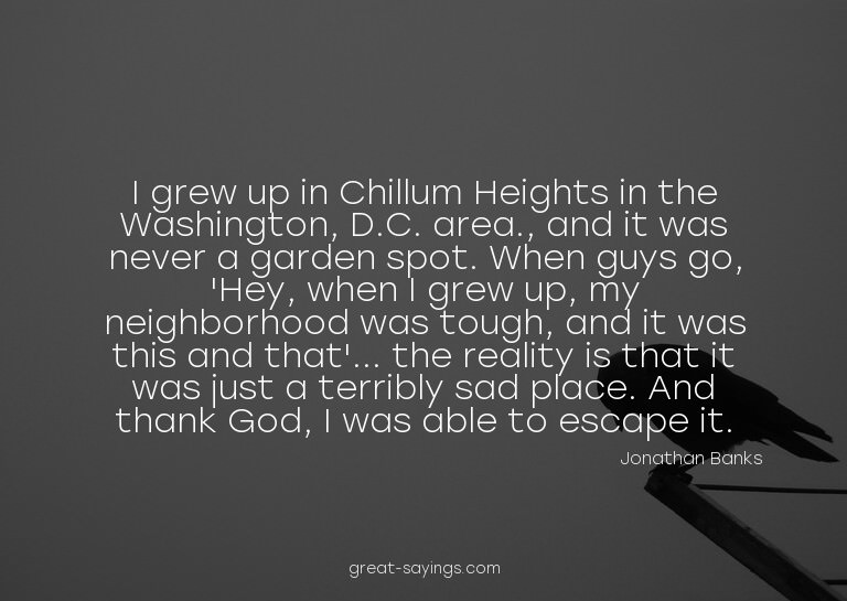 I grew up in Chillum Heights in the Washington, D.C. ar