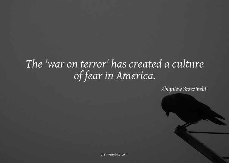 The 'war on terror' has created a culture of fear in Am