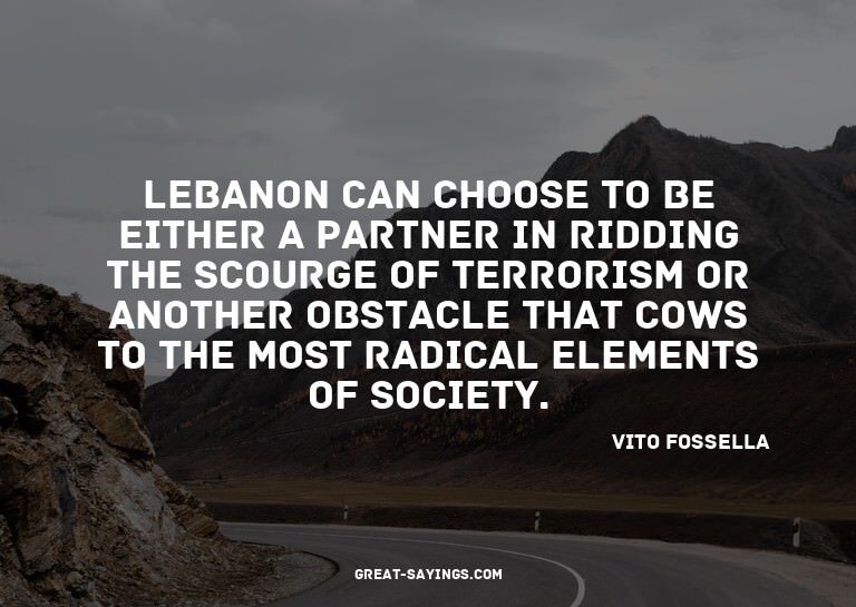 Lebanon can choose to be either a partner in ridding th