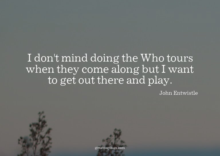 I don't mind doing the Who tours when they come along b