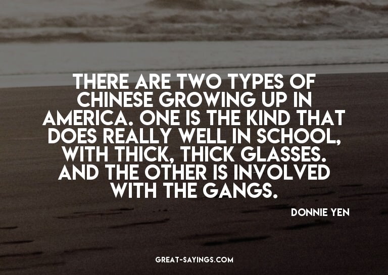 There are two types of Chinese growing up in America. O