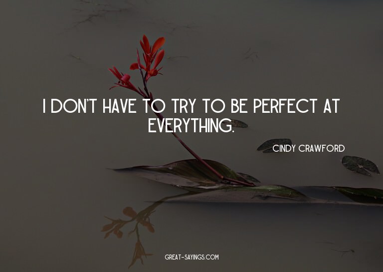 I don't have to try to be perfect at everything.


