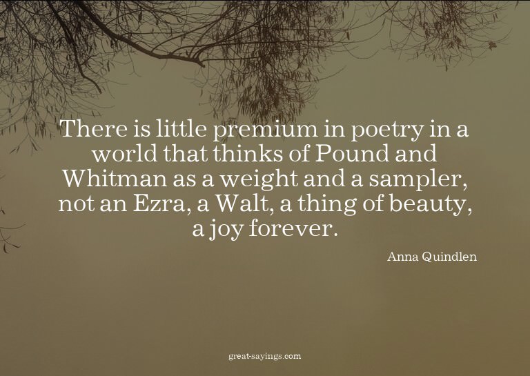 There is little premium in poetry in a world that think
