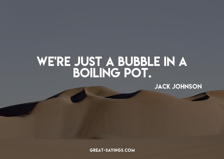 We're just a bubble in a boiling pot.

