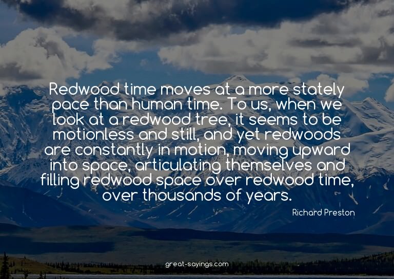 Redwood time moves at a more stately pace than human ti