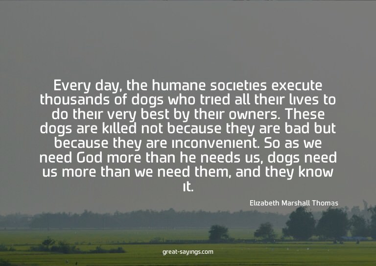 Every day, the humane societies execute thousands of do