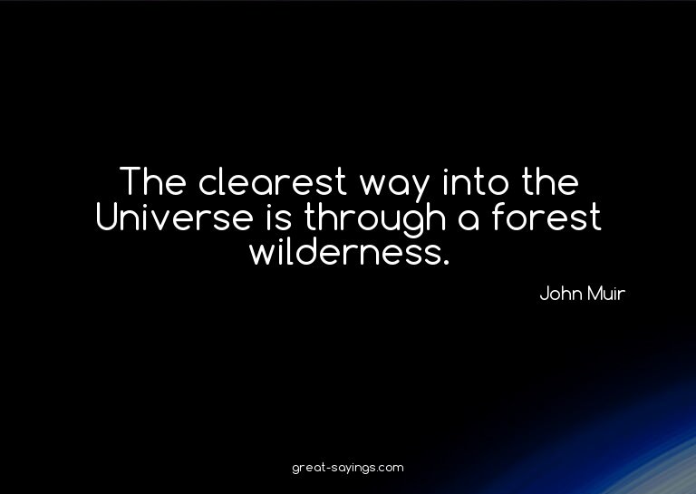 The clearest way into the Universe is through a forest