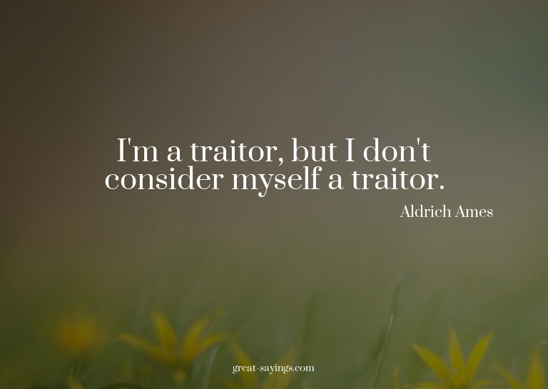 I'm a traitor, but I don't consider myself a traitor.

