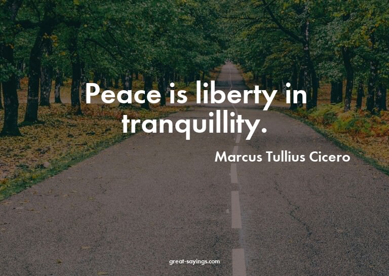 Peace is liberty in tranquillity.

