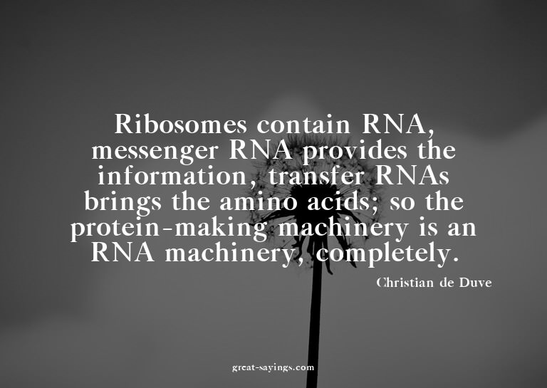 Ribosomes contain RNA, messenger RNA provides the infor