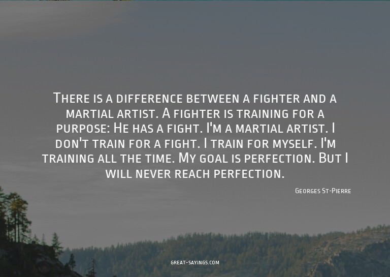 There is a difference between a fighter and a martial a
