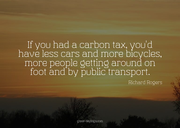 If you had a carbon tax, you'd have less cars and more