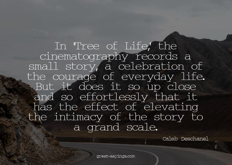 In 'Tree of Life,' the cinematography records a small s