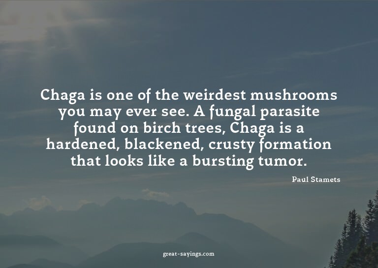Chaga is one of the weirdest mushrooms you may ever see