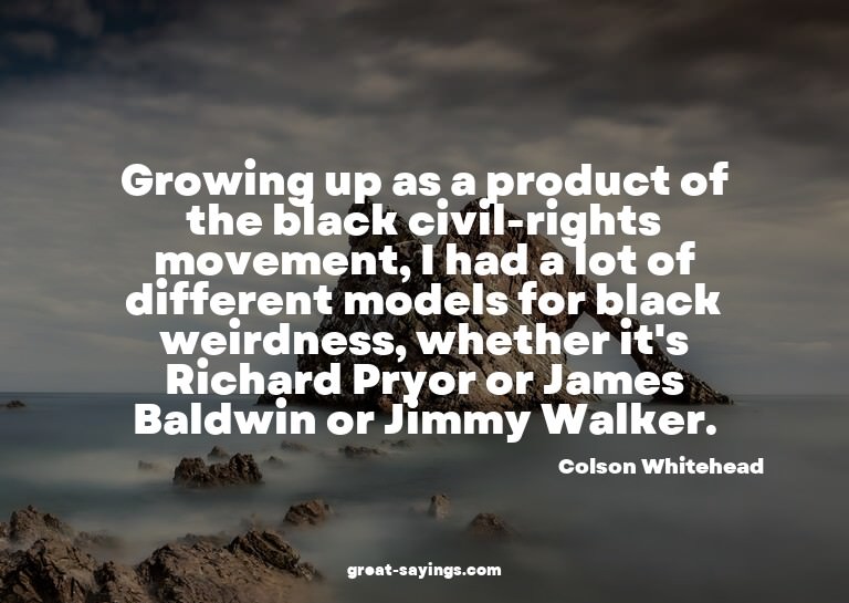 Growing up as a product of the black civil-rights movem