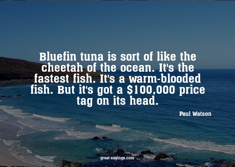 Bluefin tuna is sort of like the cheetah of the ocean.