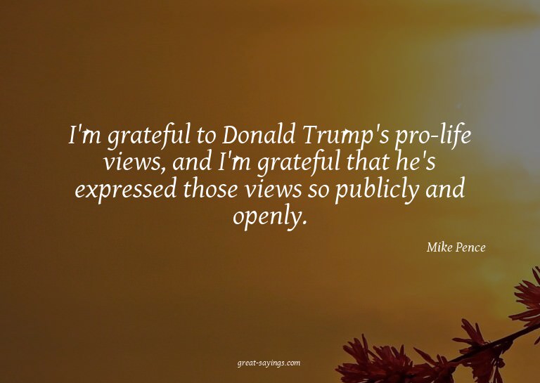 I'm grateful to Donald Trump's pro-life views, and I'm