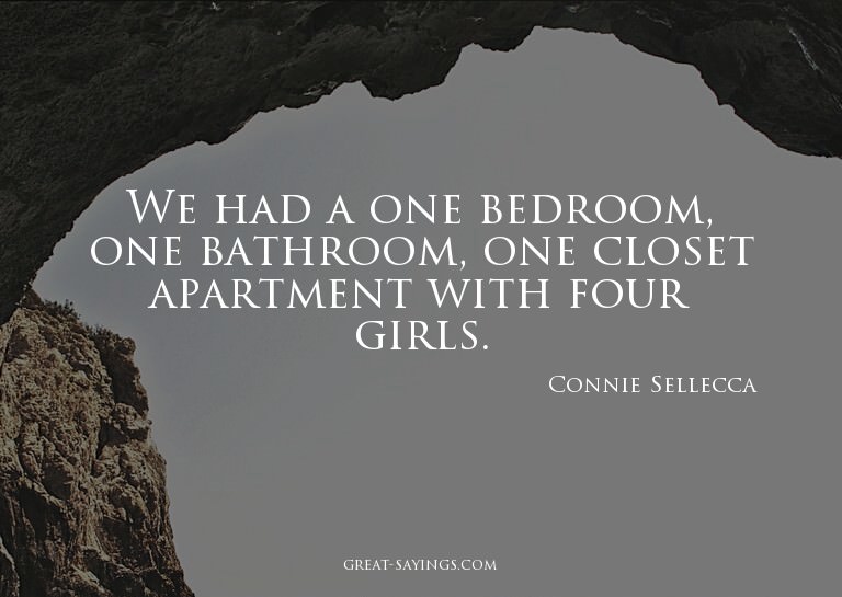We had a one bedroom, one bathroom, one closet apartmen
