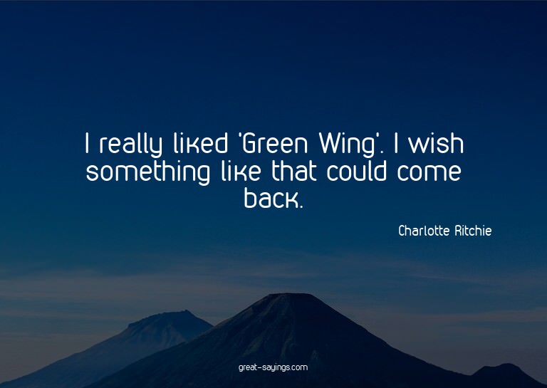 I really liked 'Green Wing'. I wish something like that