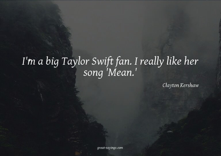 I'm a big Taylor Swift fan. I really like her song 'Mea