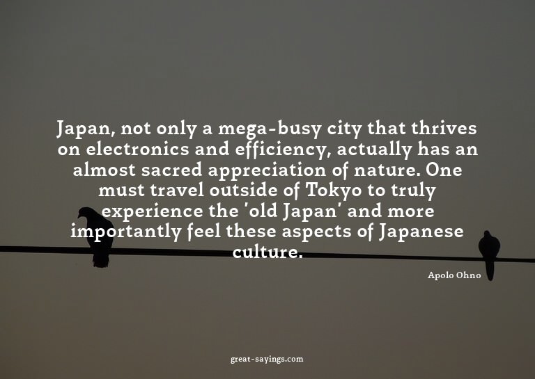 Japan, not only a mega-busy city that thrives on electr
