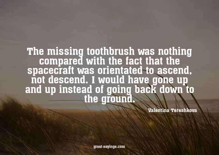 The missing toothbrush was nothing compared with the fa