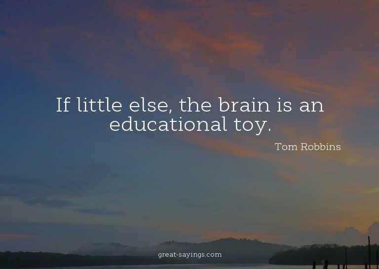 If little else, the brain is an educational toy.

