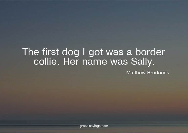 The first dog I got was a border collie. Her name was S