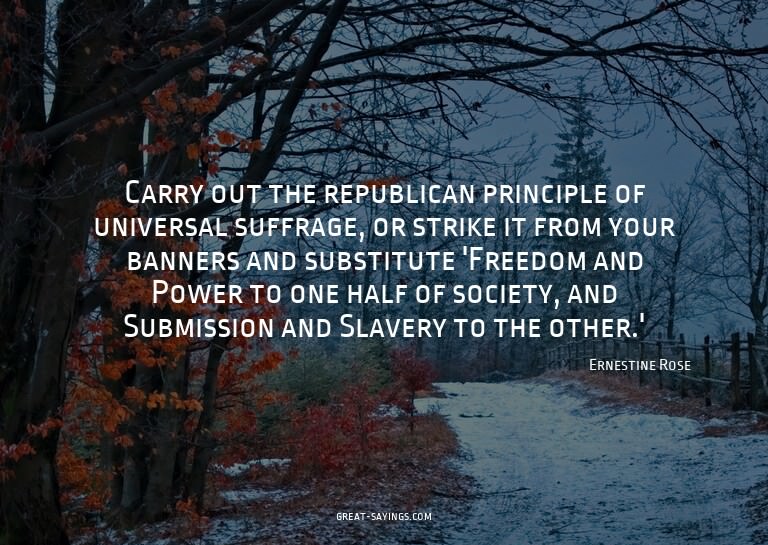 Carry out the republican principle of universal suffrag