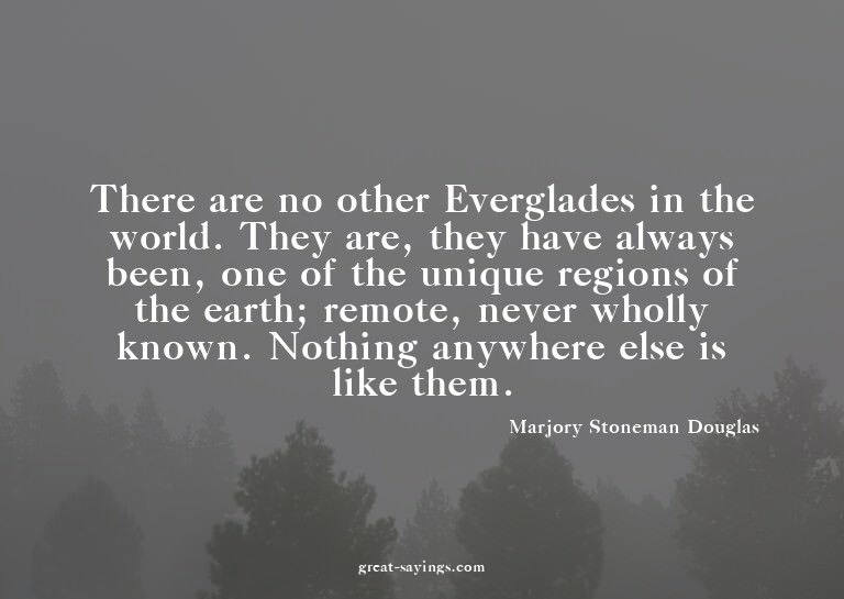There are no other Everglades in the world. They are, t