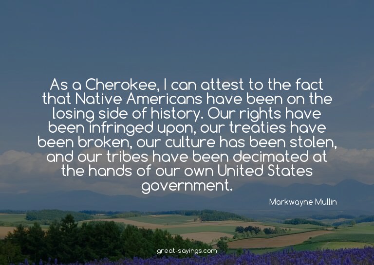 As a Cherokee, I can attest to the fact that Native Ame