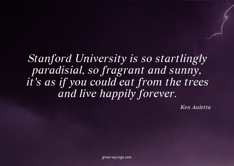 Stanford University is so startlingly paradisial, so fr