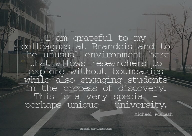 I am grateful to my colleagues at Brandeis and to the u