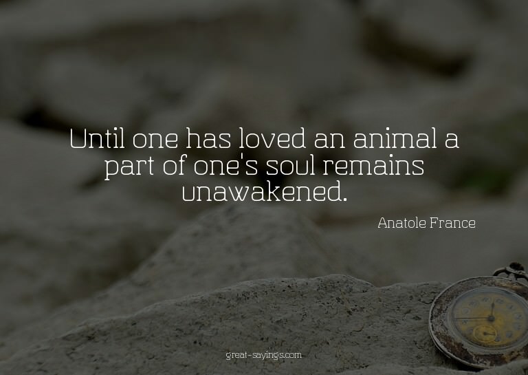 Until one has loved an animal a part of one's soul rema