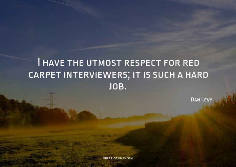 I have the utmost respect for red carpet interviewers;