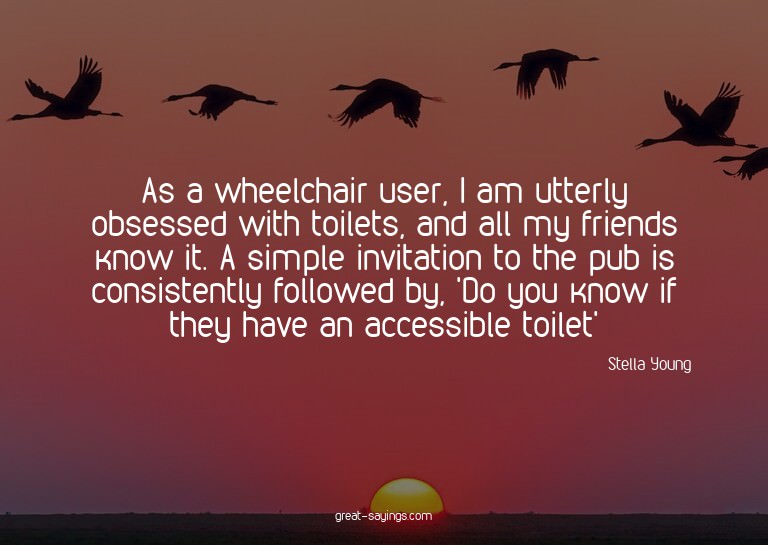 As a wheelchair user, I am utterly obsessed with toilet