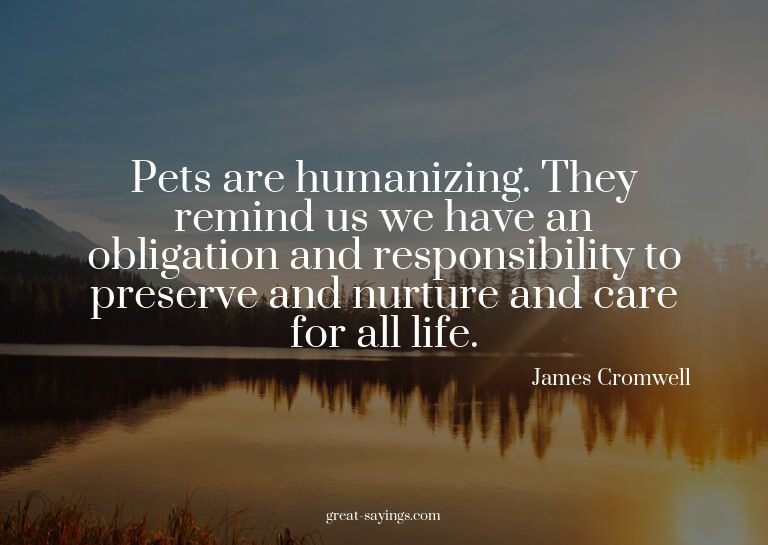 Pets are humanizing. They remind us we have an obligati