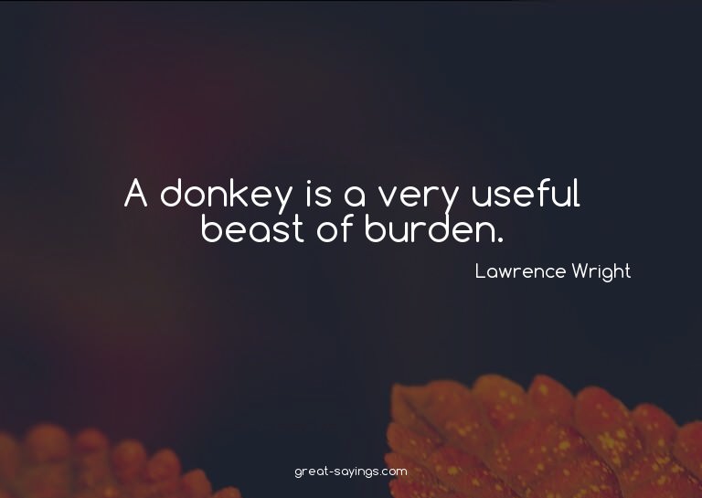 A donkey is a very useful beast of burden.

