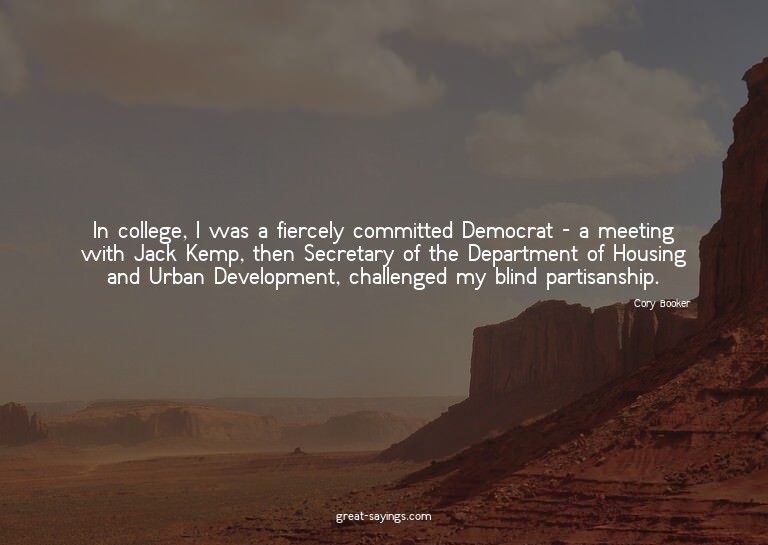 In college, I was a fiercely committed Democrat - a mee