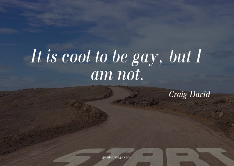 It is cool to be gay, but I am not.

