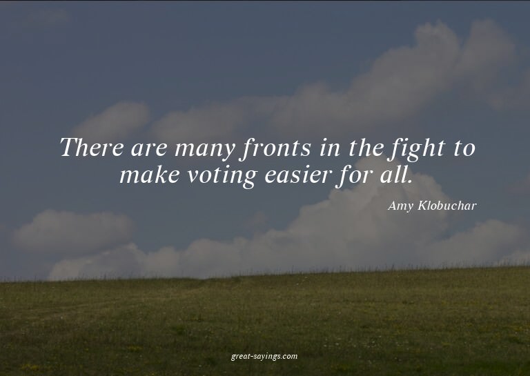 There are many fronts in the fight to make voting easie