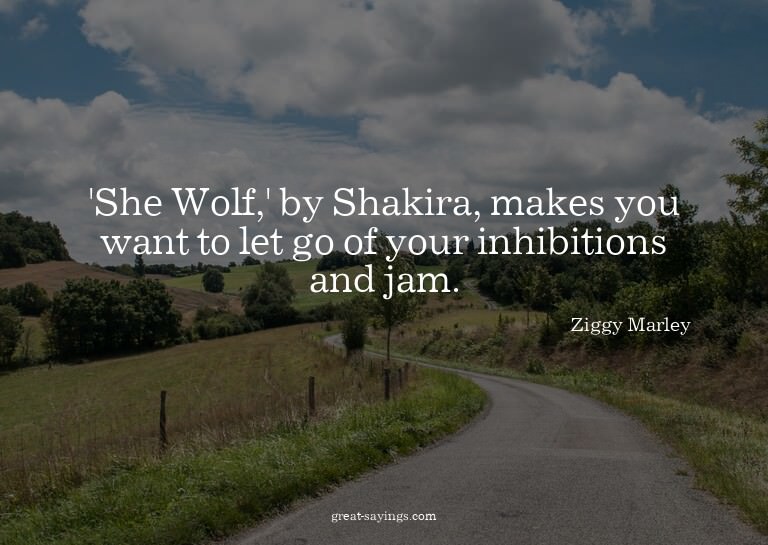 'She Wolf,' by Shakira, makes you want to let go of you