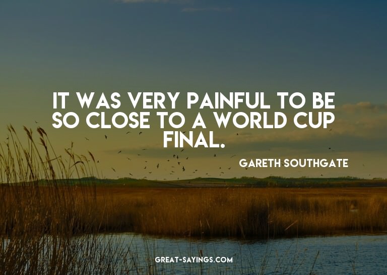 It was very painful to be so close to a World Cup final
