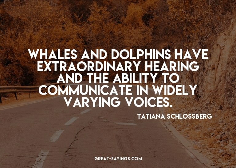 Whales and dolphins have extraordinary hearing and the