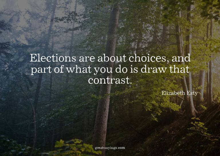 Elections are about choices, and part of what you do is