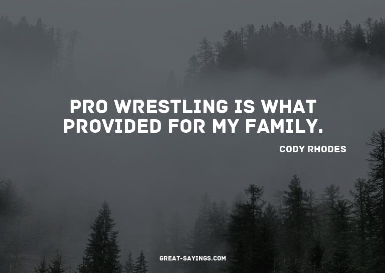 Pro wrestling is what provided for my family.

