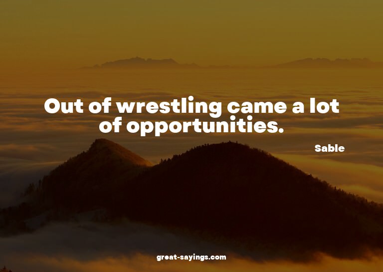 Out of wrestling came a lot of opportunities.

