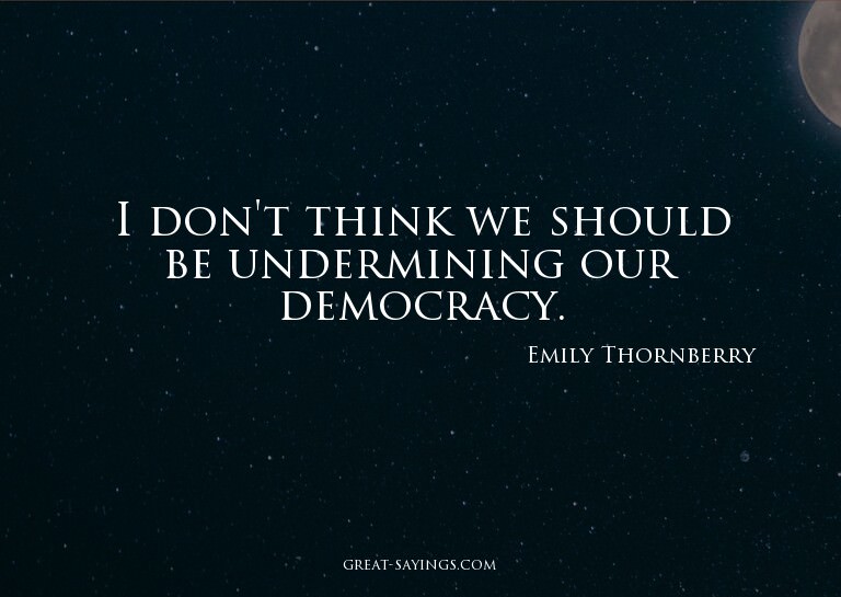 I don't think we should be undermining our democracy.

