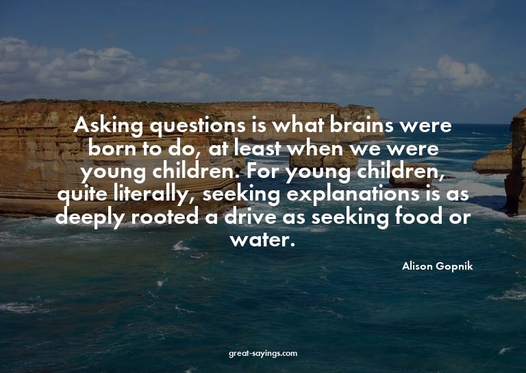 Asking questions is what brains were born to do, at lea